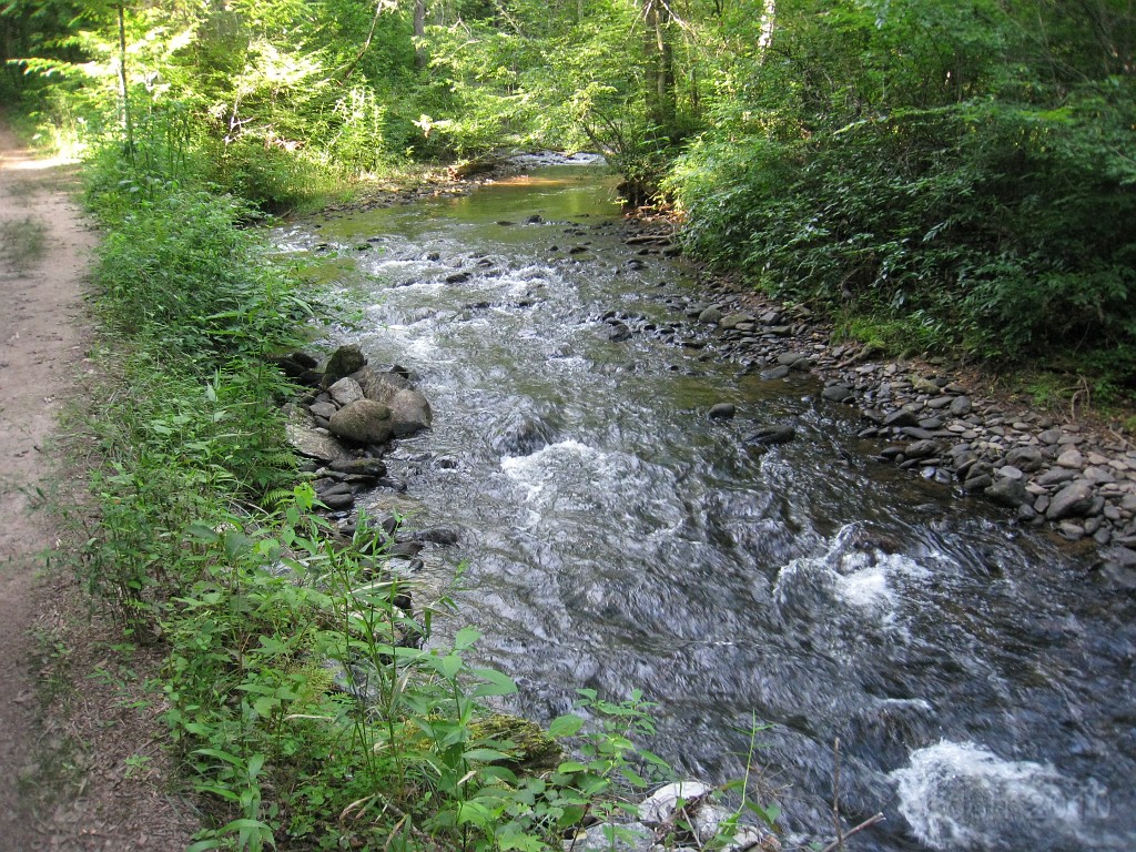 Helen to Unicoi 2010 0290.jpg - The trail from Helen Georgia to the lodge at Unicoi State Park makes a fun six mile run. July 2010 and 90 degrees makes it a little bit more of a workout.